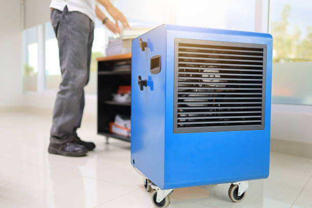 Best Air Quality Testing for Mold Spores  in Mahanoy City, PA