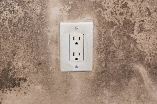 Best Dehumidification Services  in Mahanoy City, PA