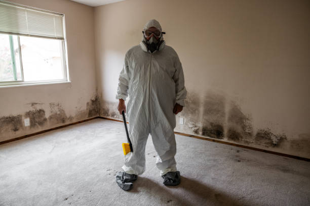 Biohazard Mold Removal in Mahanoy City, PA